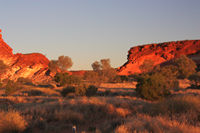 _and there are faces wherever you look